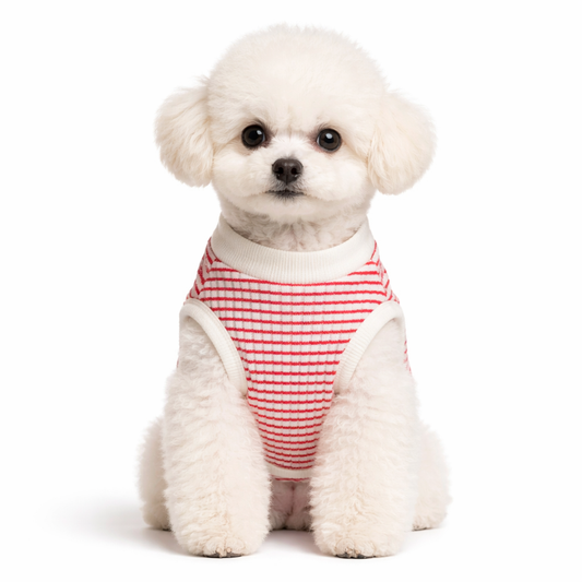 Yılbaşı Temalı Tişört – Kedi ve Köpekler İçin Sevimli Noel Kıyafeti