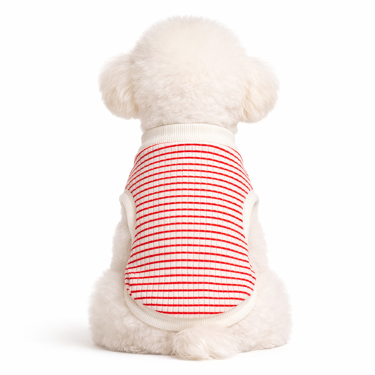 Yılbaşı Temalı Tişört – Kedi ve Köpekler İçin Sevimli Noel Kıyafeti