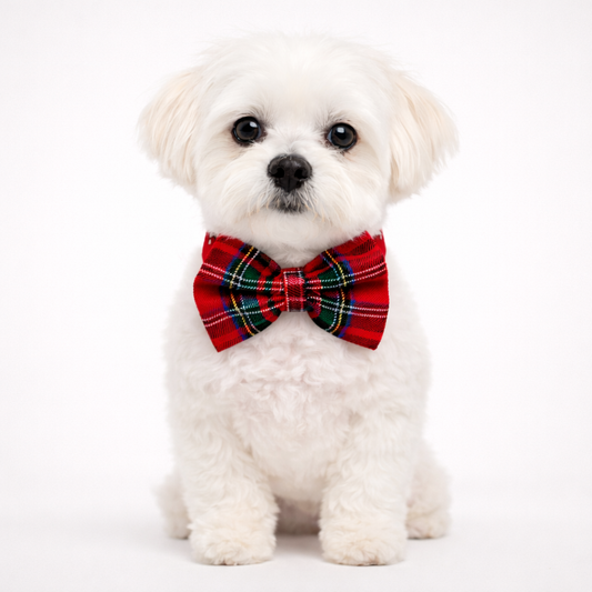 Ayarlanabilir Yılbaşı Temalı Köpek Tasması ve Papyon – Şık Noel Aksesuarı